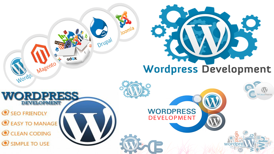 wordpress wordpress-website-development-forkdesk